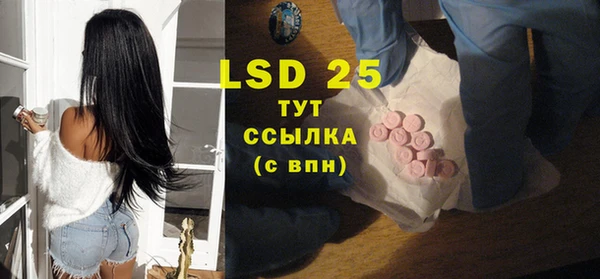 стаф Покачи