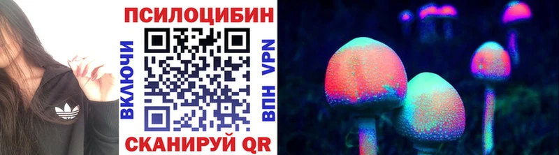 гидра ссылка  Лаишево  Псилоцибиновые грибы GOLDEN TEACHER 